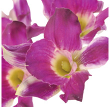 Kunstmatige orchidee met roze bloemblaadjes en een geelachtig hart in detail.