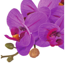 Kunstorchidee met paarse bloemen en knoppen aan een tak.