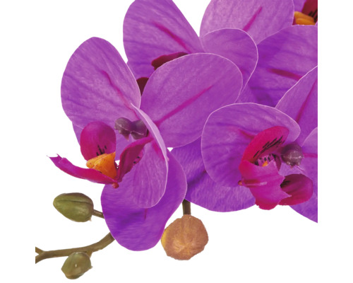 Kunstorchidee met paarse bloemen en knoppen aan een tak.