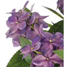 Kunstmatige hortensia met paarse bloemen en groene bladeren.