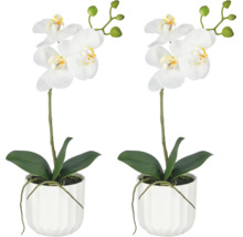 Twee kunstorchideeën met witte bloemen in geribbelde witte potten voor decoratie