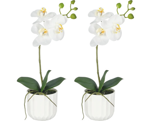 Twee kunstorchideeën met witte bloemen in geribbelde witte potten voor decoratie