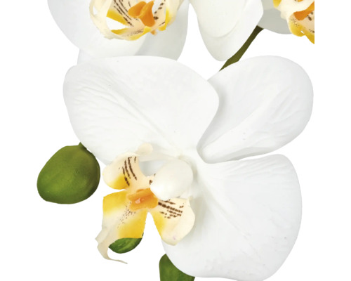 Kunstorchidee met witte bloemen en groen als decoratieve plant