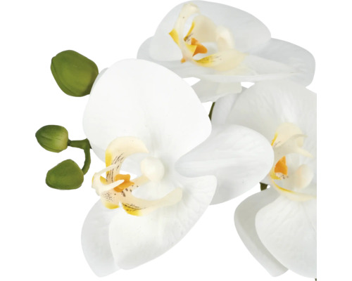 Kunstmatige orchidee met witte bloemen en groene knoppen als decoratieve kunstplant
