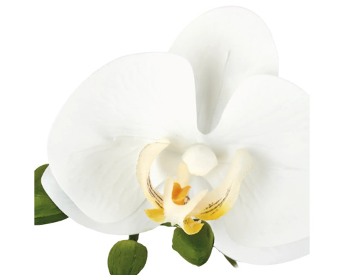 Enkele kunstmatige orchideebloem in wit met groene knoppen.