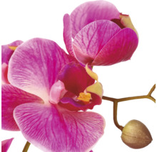 Kunstmatige orchideenbloem als decoratieve plantentak