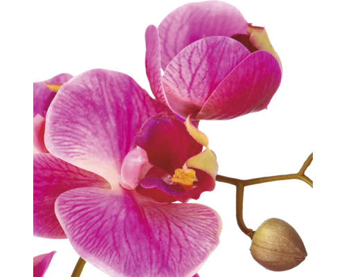 Kunstmatige orchideenbloem als decoratieve plantentak