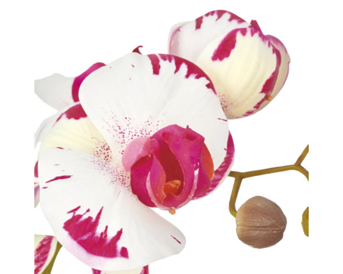Kunstmatige orchideetak met gedetailleerd nagemaakte bloemen als decoratief kamerplant element.