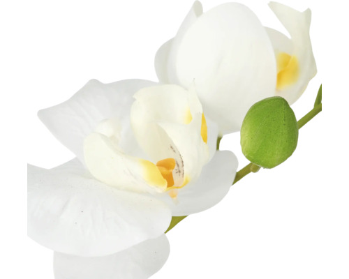 Kunstmatige orchideetak met twee bloemen en een knop voor decoratie