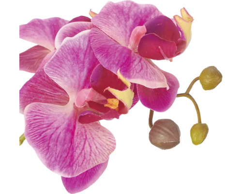 Kunstmatige orchideebloem met bloemknoppen als decoratieve kamerplant