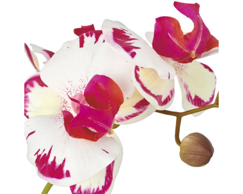 Kunstmatige orchidee met bloem en knop als kamerplant voor decoratie