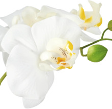 Kunstmatige orchidee met bloemen en knoppen aan de steel als kamerplant voor decoratie