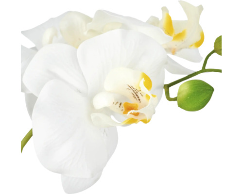 Kunstmatige orchidee met bloemen en knoppen aan de steel als kamerplant voor decoratie