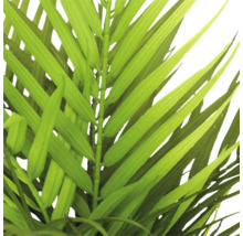 Detailopname van de bladeren van een kunstpalm voor interieurdecoratie