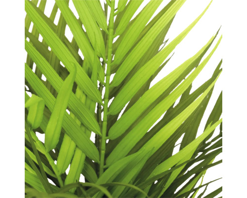 Detailopname van de bladeren van een kunstpalm voor interieurdecoratie