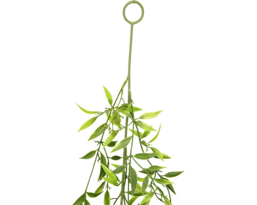 Kunsthangplant met smalle bladeren en ophanglus