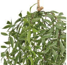 Kunsthangplant met groene bladeren aan een jutetouw voor decoratie
