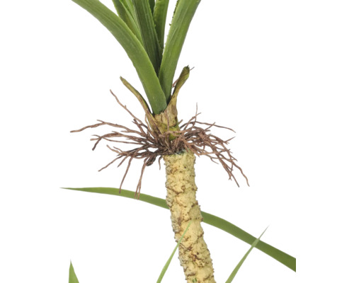 Kunstpalm met gedetailleerde stam en natuurgetrouwe bladeren voor decoratie.