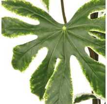 Kunstmatig blad van een Fatsia japonica met een gevlekt randje voor een levensechte decoratie.