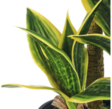 Kunstplant Sansevieria in pot