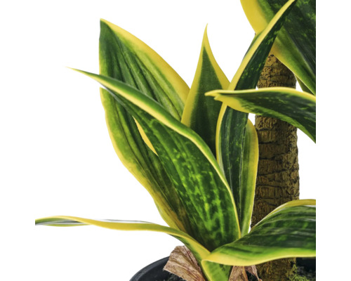 Kunstplant Sansevieria in pot