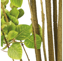 Kunstplant met gedetailleerde bladeren en natuurlijk gestructureerde stammen voor een realistische interieurdecoratie.