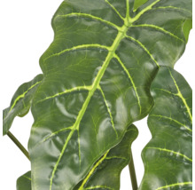 Kunstplant Alocasia met gedetailleerde bladeren in natuurgetrouwe uitstraling