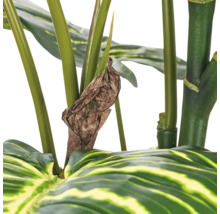 Detailopname van een kunstmatige Calathea plant met een verdroogd blad tussen de groene stengels.