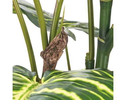 Detailopname van een kunstmatige Calathea plant met een verdroogd blad tussen de groene stengels.