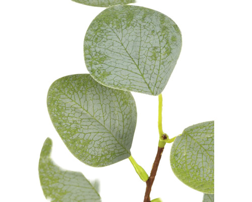 Detailopname van een kunstmatige eucalyptustak met ronde bladeren met textuur.