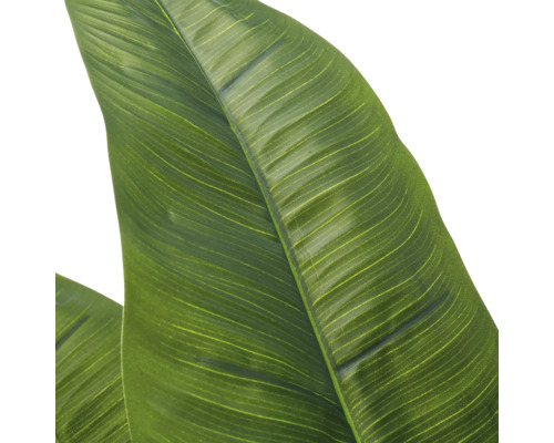 Detailopname van een kunstmatig Strelitzia-blad met duidelijke bladstructuur en nerven.