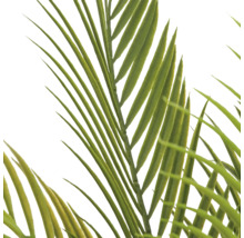 Detailopname van de bladeren van een kunstpalm.