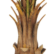 Detailweergave van de getextureerde stam van een kunstpalm met realistische bladvoeten.