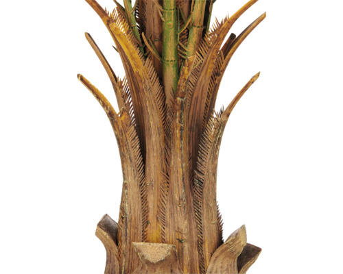 Detailweergave van de getextureerde stam van een kunstpalm met realistische bladvoeten.