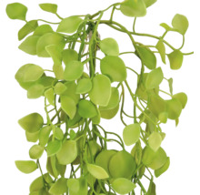 Groene kunsthangplant met kleine, ronde bladeren van kunststof.