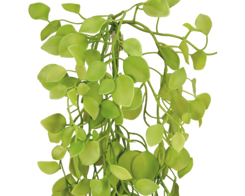 Groene kunsthangplant met kleine, ronde bladeren van kunststof.