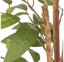 Detailweergave van een kunstmatige Ficusplant met groene bladeren en een natuurgetrouwe houten stam.