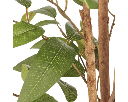 Detailweergave van een kunstmatige Ficusplant met groene bladeren en een natuurgetrouwe houten stam.