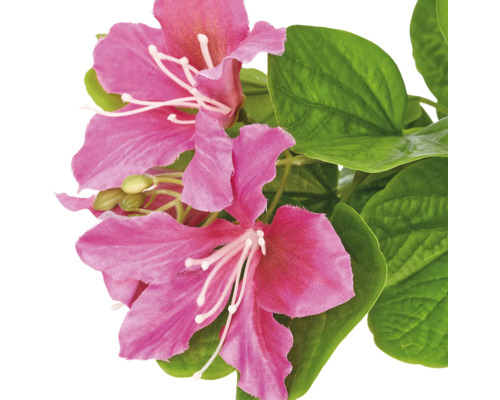 Kunstplant met roze bloemen en groene bladeren.