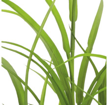 Detailopname van kunstmatig siergras met lange, smalle groene bladeren van kunststof.