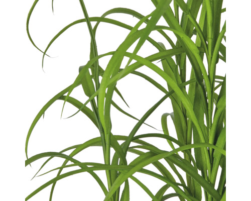 Detailopname van kunstsiergras met lange groene sprieten.