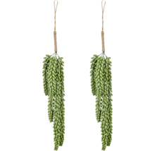 Kunstmatige hangende vetplant Sedum Morganianum met jute touw.
