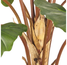 Detailopname van de stammen van een kunstmatige Alocasia plant met realistische bladstelen en bladscheden.