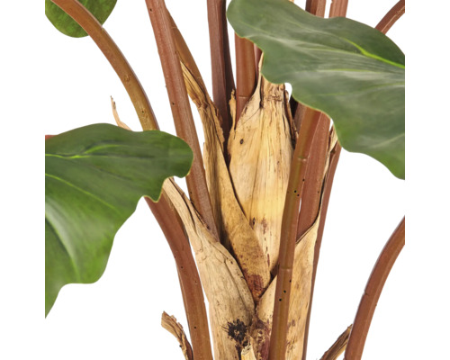 Detailopname van de stammen van een kunstmatige Alocasia plant met realistische bladstelen en bladscheden.