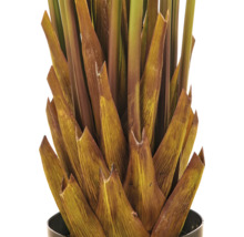 Detailopname van een kunstpalm met een gestructureerde stam van kunststof in een zwarte pot.