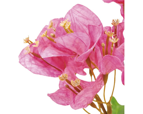 Detailopname van een kunstmatige Bougainvillea met fijn gestructureerde bloemblaadjes en meeldraden.