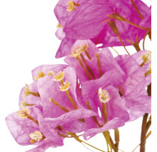 Detailopname van een kunstmatige bougainvillea met roze bloemen en bruine takken.
