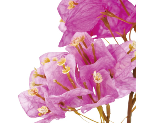 Detailopname van een kunstmatige bougainvillea met roze bloemen en bruine takken.