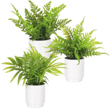 Set van drie verschillende kunstmatige groene planten in witte potten, waaronder varens en een palm.