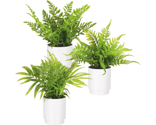 Set van drie verschillende kunstmatige groene planten in witte potten, waaronder varens en een palm.